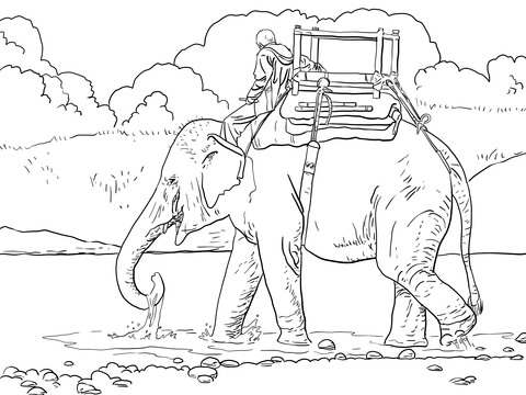 Riding Indian Elephant Coloring Page